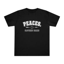 Load image into Gallery viewer, The Peace Established? Piece