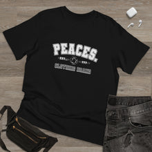 Load image into Gallery viewer, The Peace Established? Piece