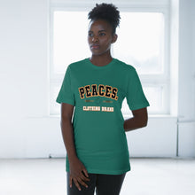 Load image into Gallery viewer, The Peace Established? Piece