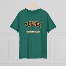 Load image into Gallery viewer, The Peace Established? Piece