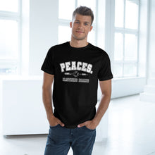 Load image into Gallery viewer, The Peace Established? Piece