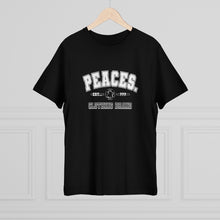 Load image into Gallery viewer, The Peace Established? Piece