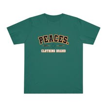 Load image into Gallery viewer, The Peace Established? Piece